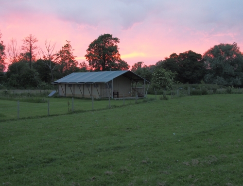 LIGUSTICA LODGE